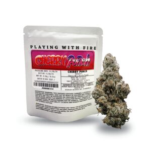 Jungle Boys | Cherry Punch 3.5g Flower